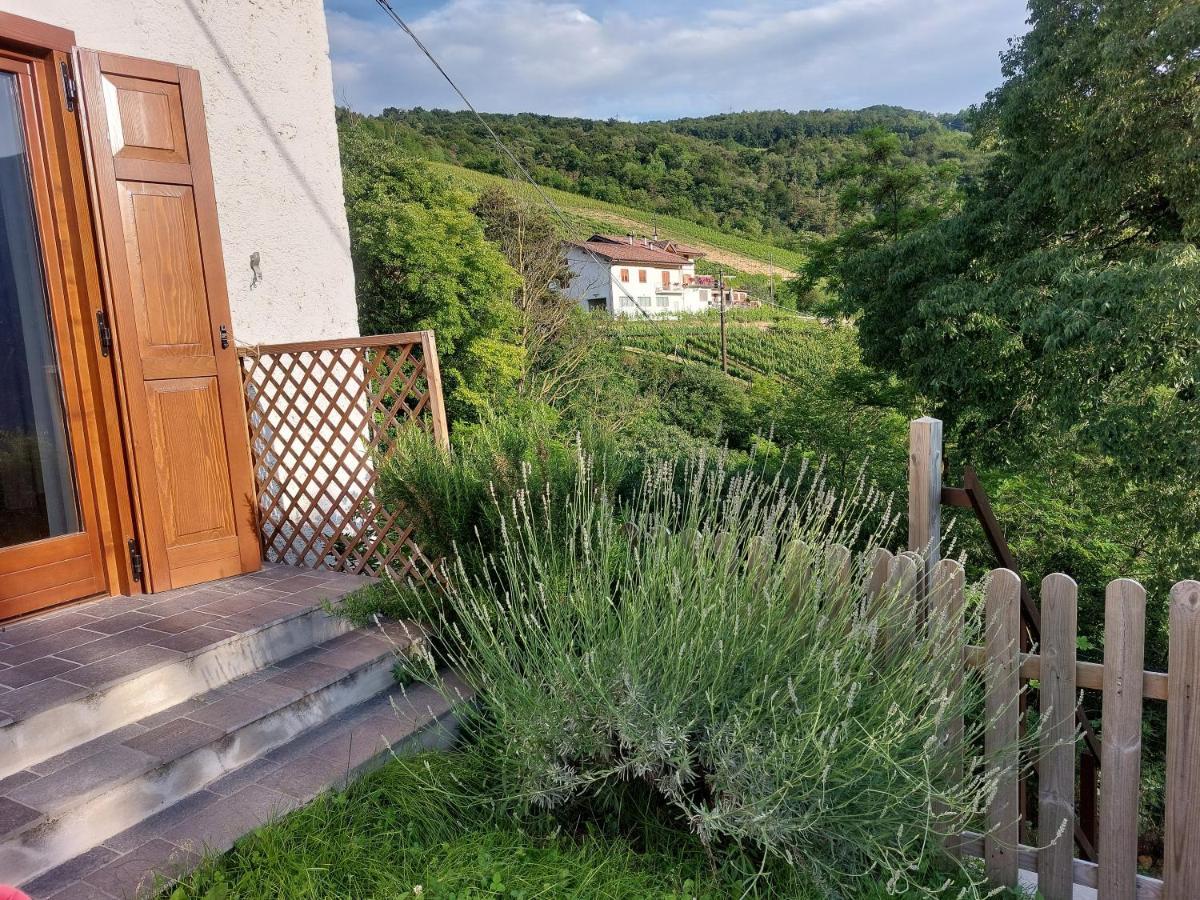 Cottage Lavanda E Rosmarino Lavis Zewnętrze zdjęcie