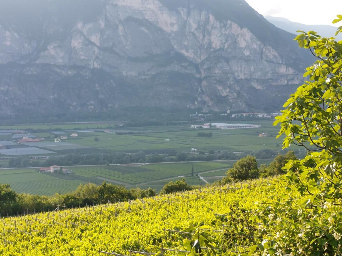 Cottage Lavanda E Rosmarino Lavis Zewnętrze zdjęcie
