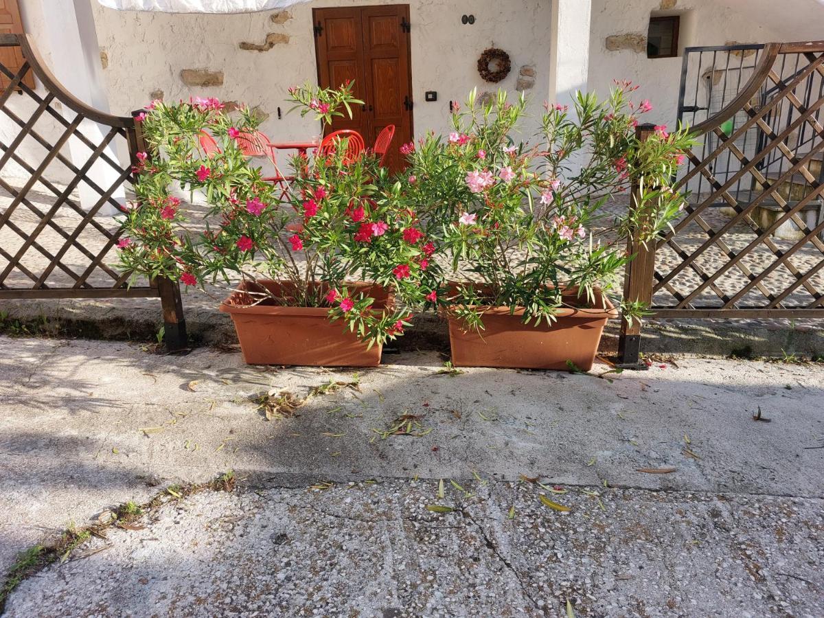 Cottage Lavanda E Rosmarino Lavis Zewnętrze zdjęcie