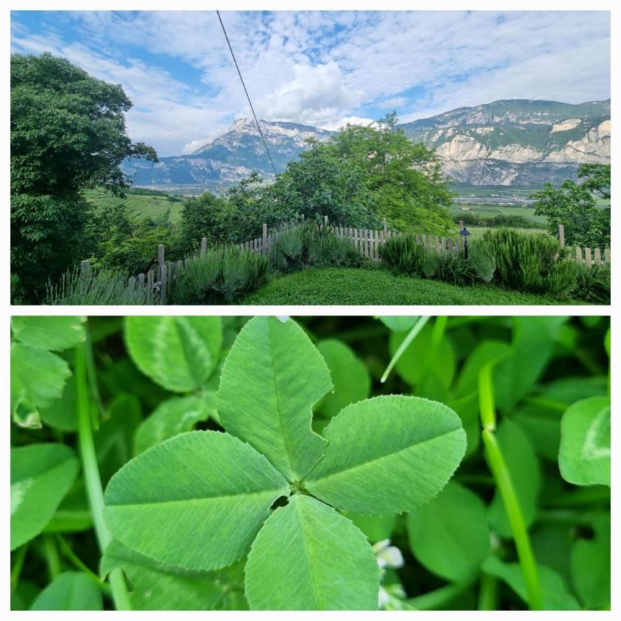 Cottage Lavanda E Rosmarino Lavis Zewnętrze zdjęcie