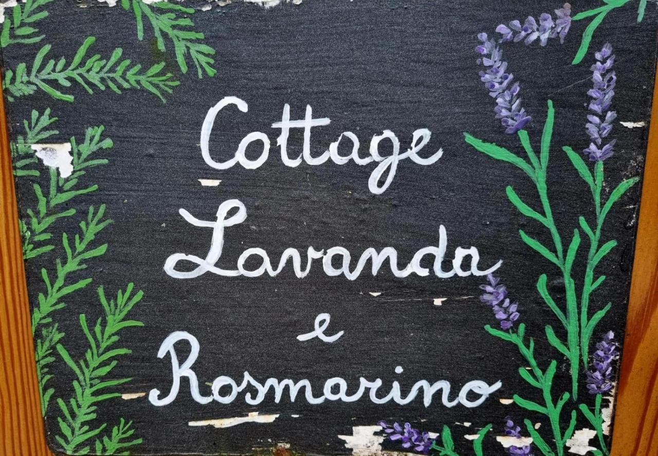 Cottage Lavanda E Rosmarino Lavis Zewnętrze zdjęcie
