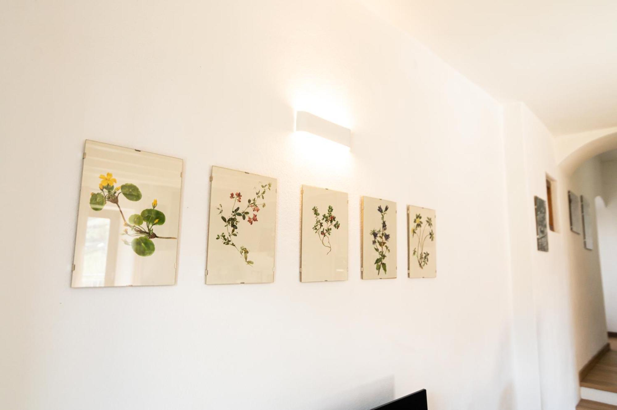 Cottage Lavanda E Rosmarino Lavis Zewnętrze zdjęcie