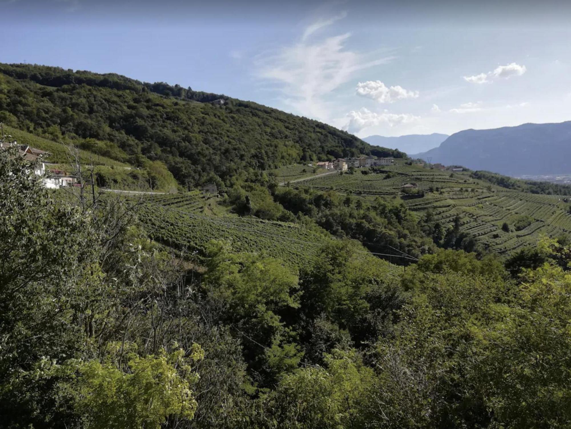 Cottage Lavanda E Rosmarino Lavis Zewnętrze zdjęcie
