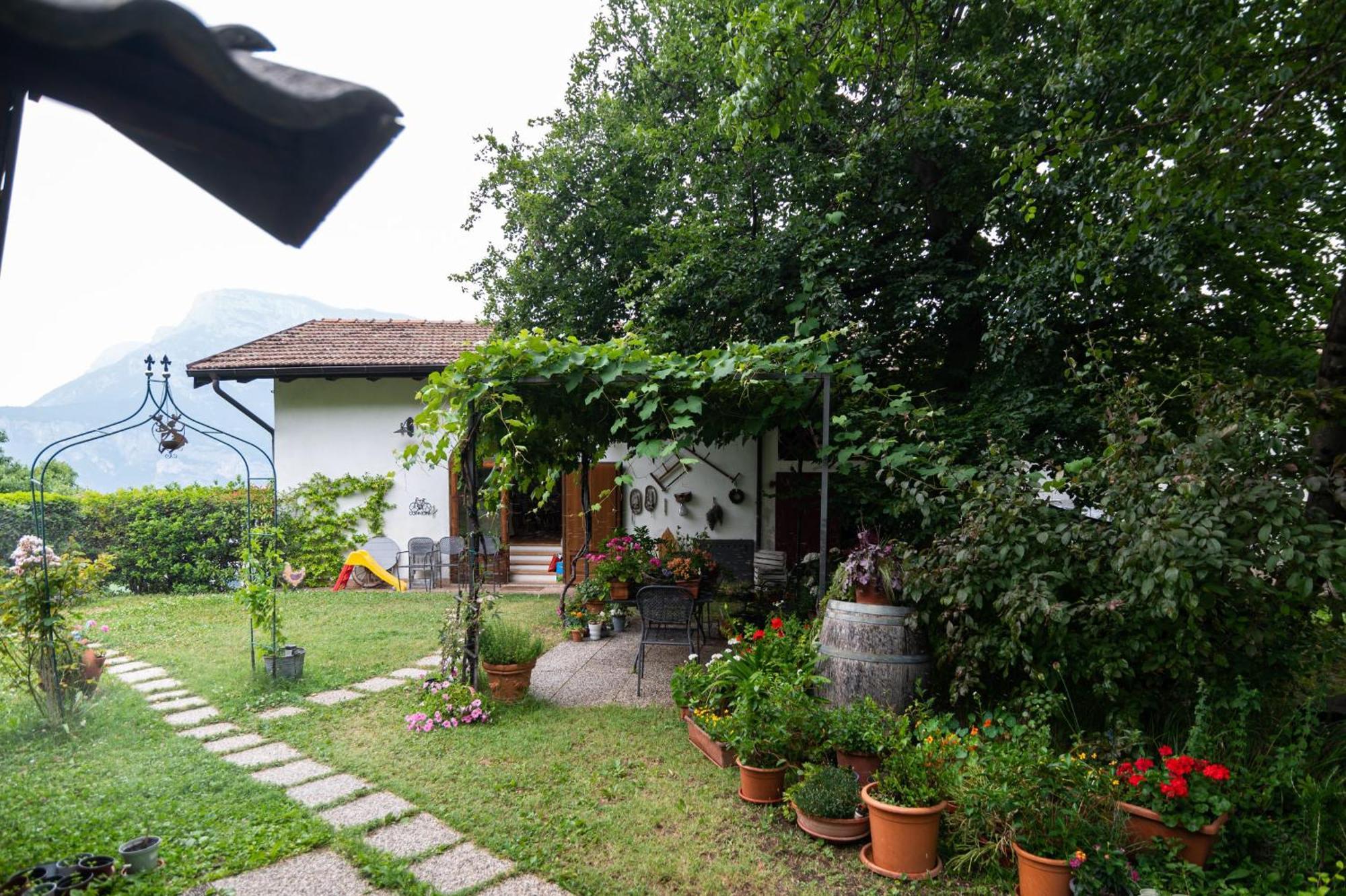 Cottage Lavanda E Rosmarino Lavis Zewnętrze zdjęcie