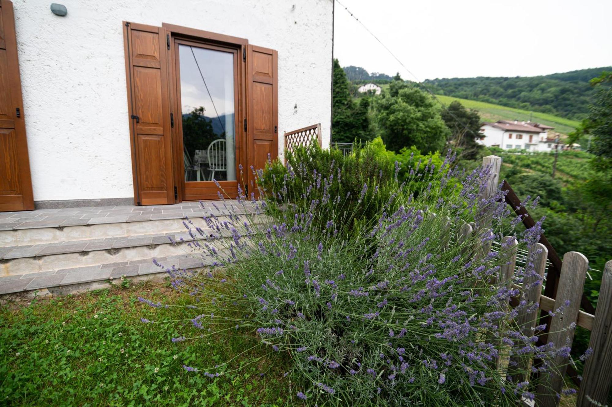 Cottage Lavanda E Rosmarino Lavis Zewnętrze zdjęcie