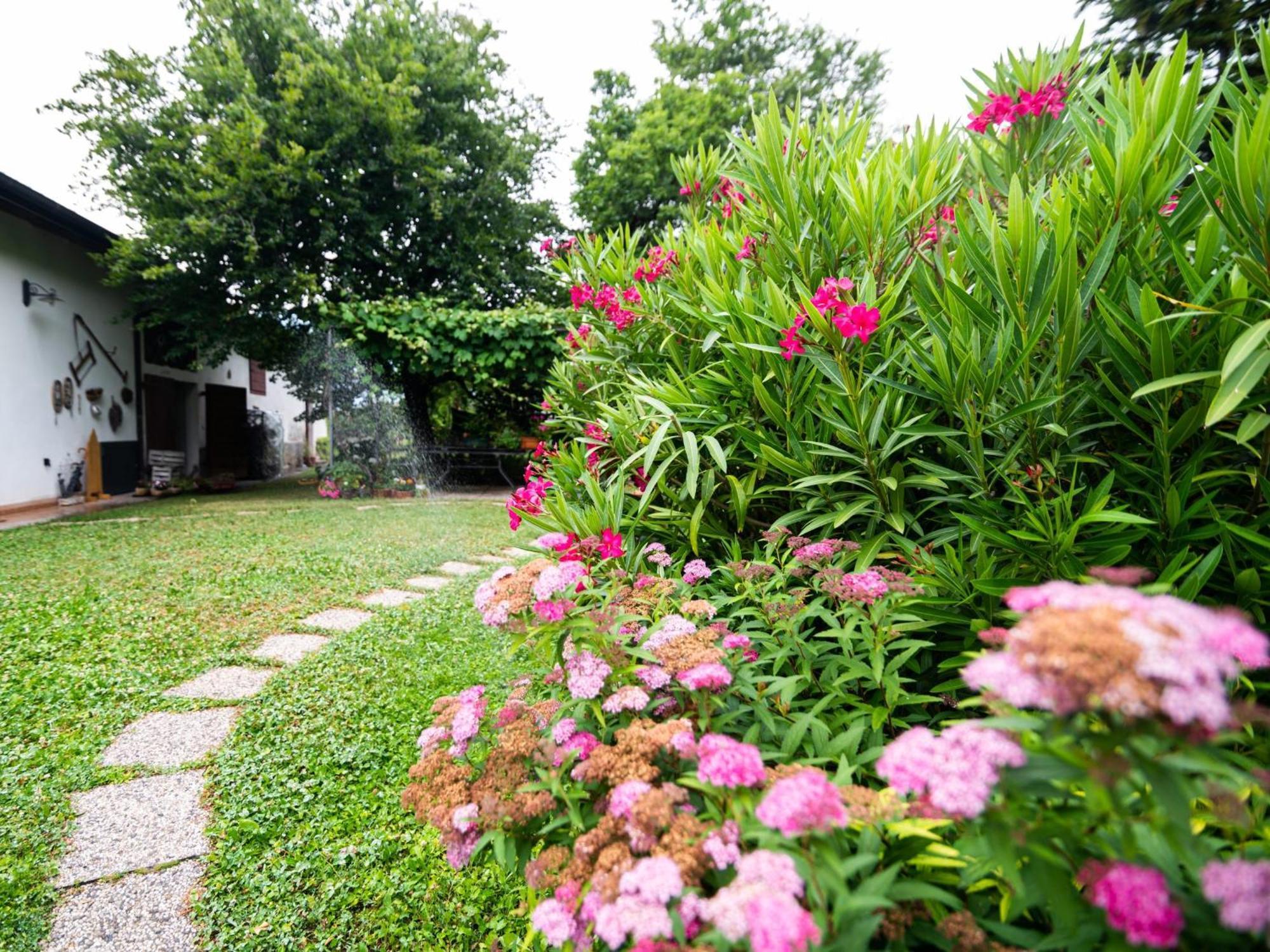 Cottage Lavanda E Rosmarino Lavis Zewnętrze zdjęcie