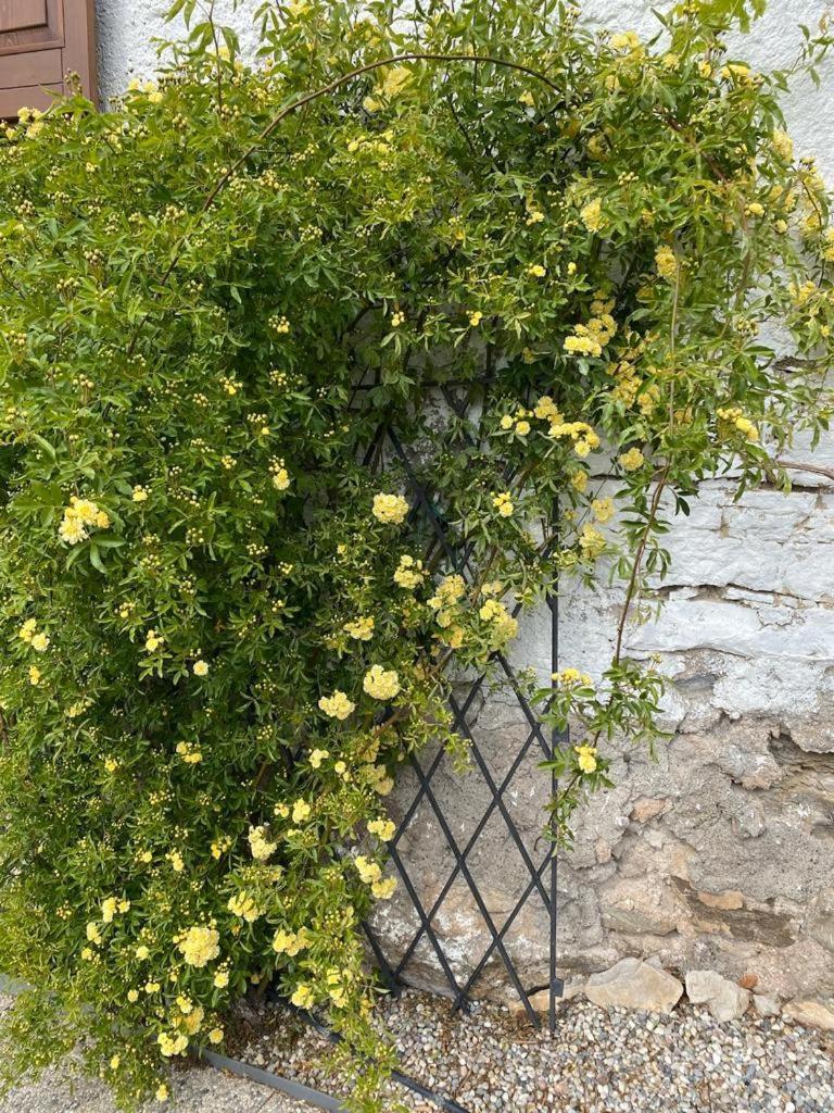 Cottage Lavanda E Rosmarino Lavis Zewnętrze zdjęcie