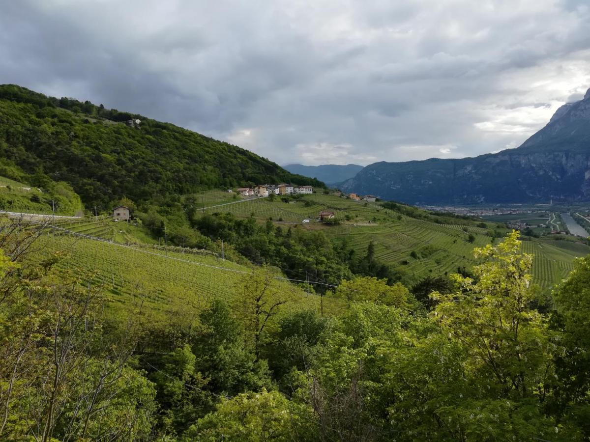 Cottage Lavanda E Rosmarino Lavis Zewnętrze zdjęcie